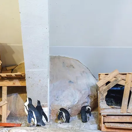 Dom wakacyjny 5 Bedroom Gorgeous In *